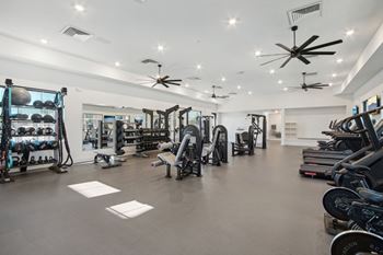 A gym with a lot of weights and exercise equipment